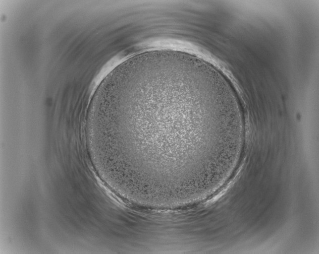 X0000067951529200604171422