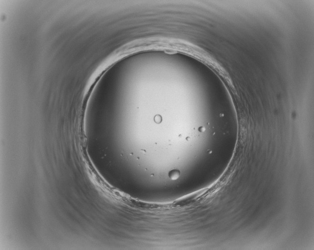 X0000067951530200604171422