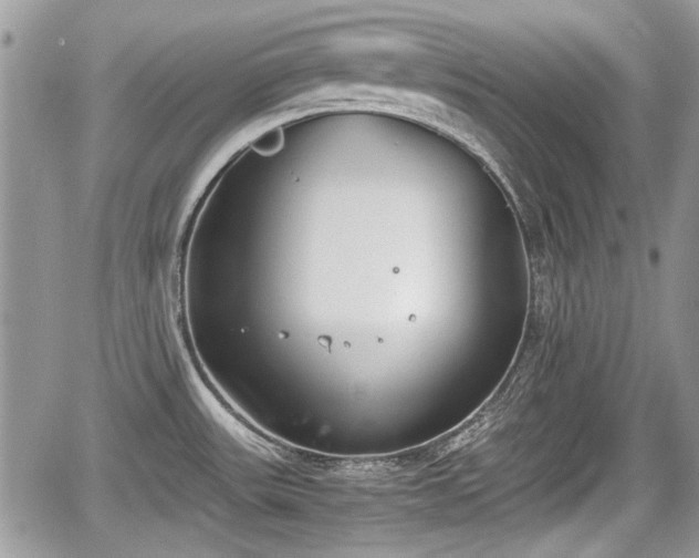 X0000067951531200604171422