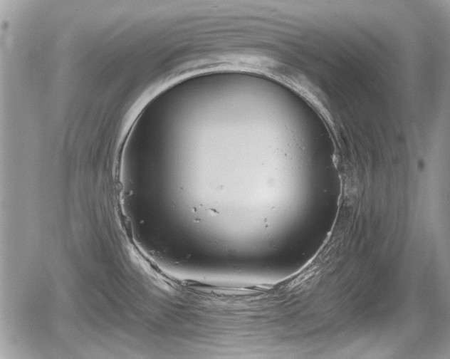 X0000067951532200604171422