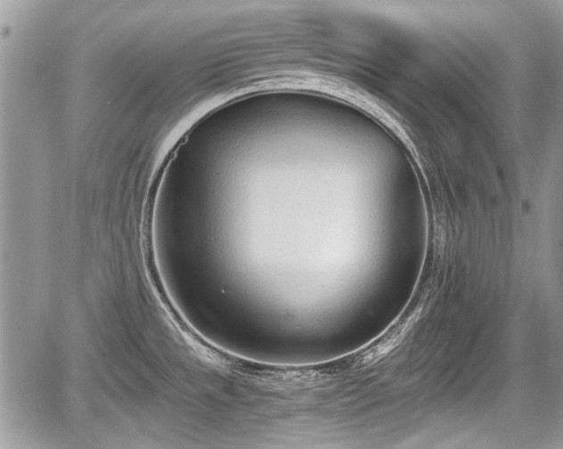 X0000067951533200604171422