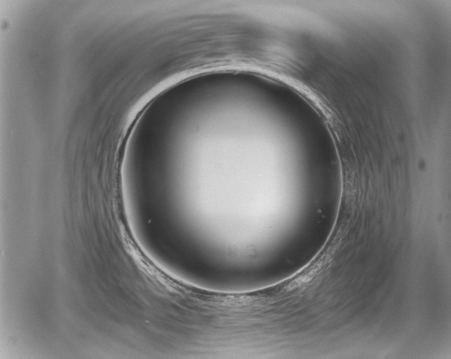 X0000067951534200604171422