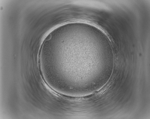 X0000067951535200604171422