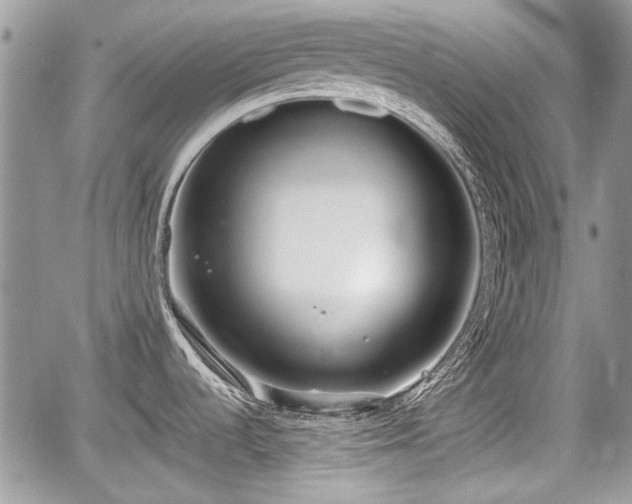 X0000067951536200604171423