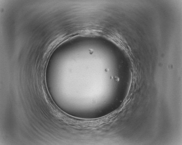 X0000067950001200604201443