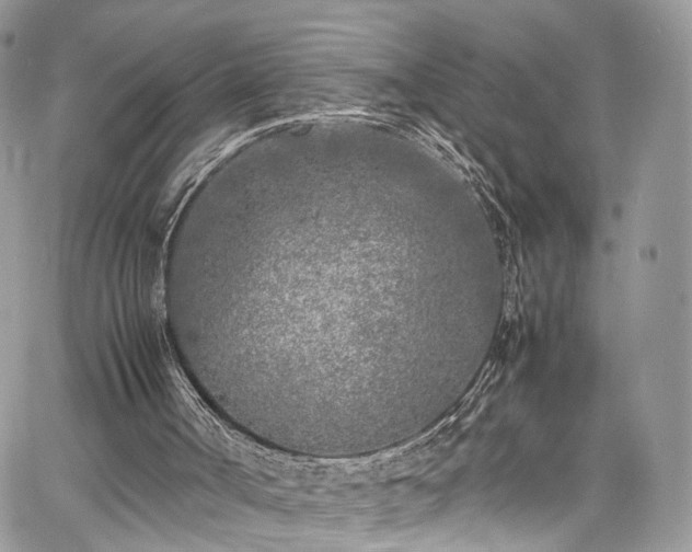 X0000067950002200604201443