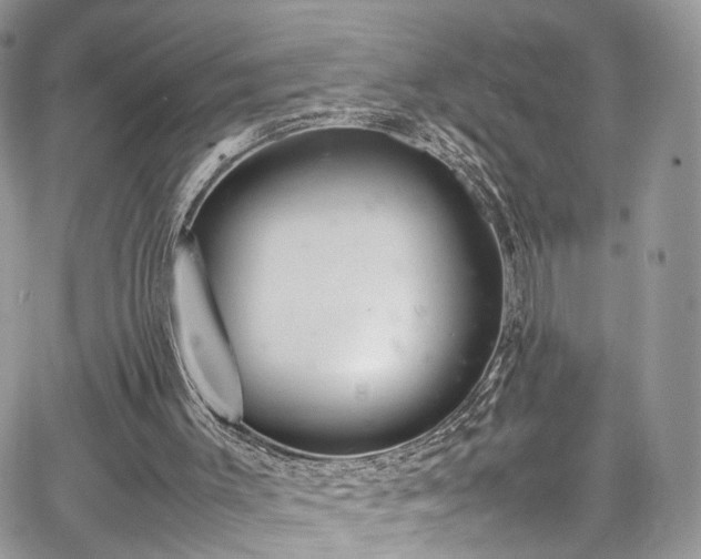 X0000067950003200604201443