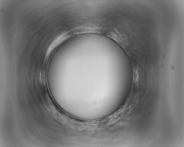 X0000067950004200604201443