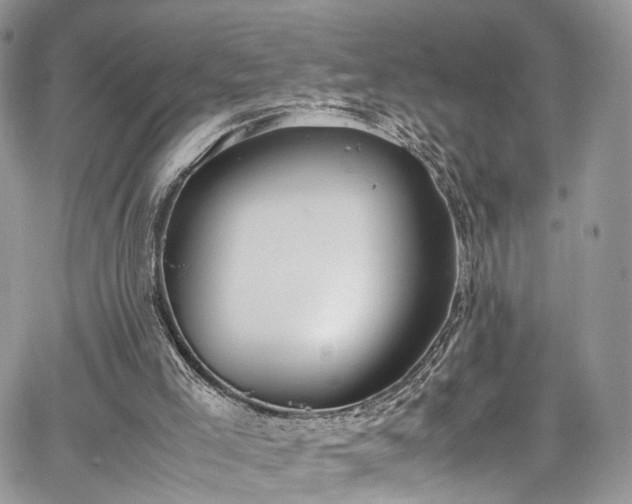 X0000067950005200604201443