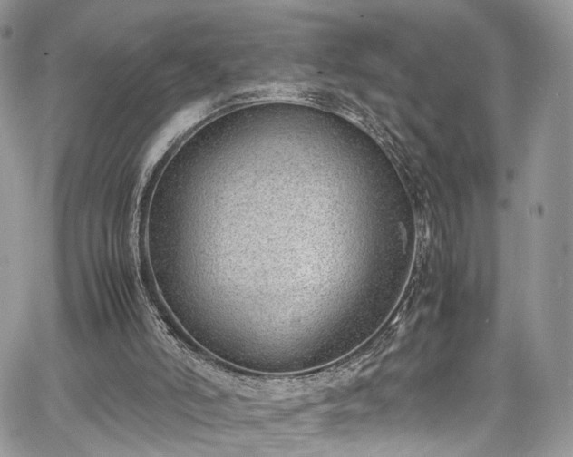 X0000067950006200604201443