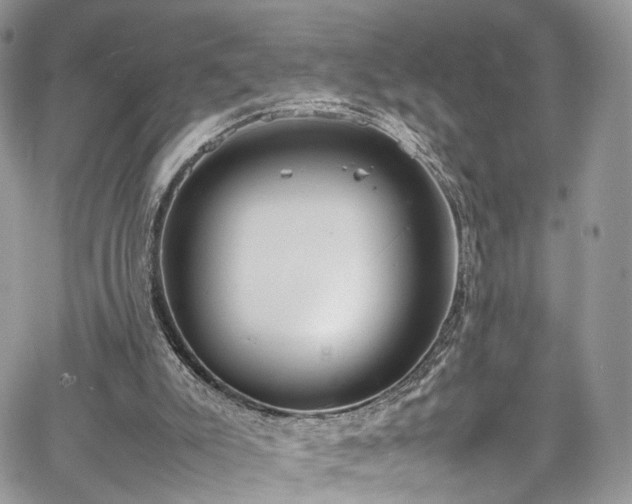 X0000067950007200604201443