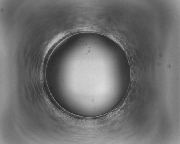 X0000067950008200604201443