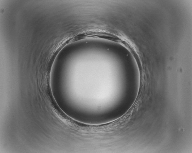 X0000067950009200604201443