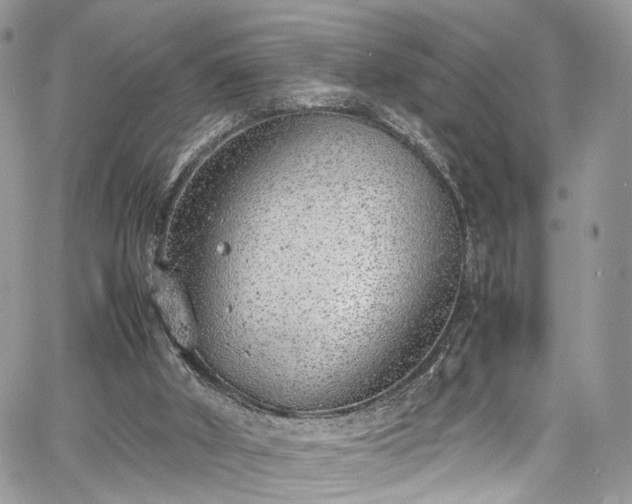 X0000067950010200604201443