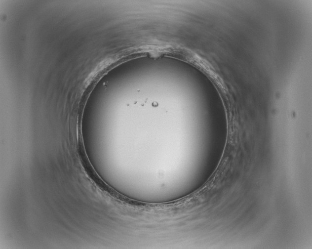 X0000067950011200604201443