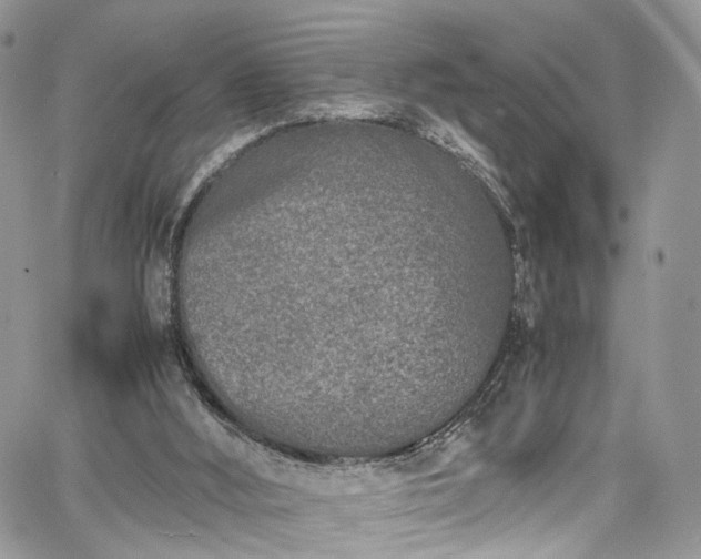 X0000067950012200604201443