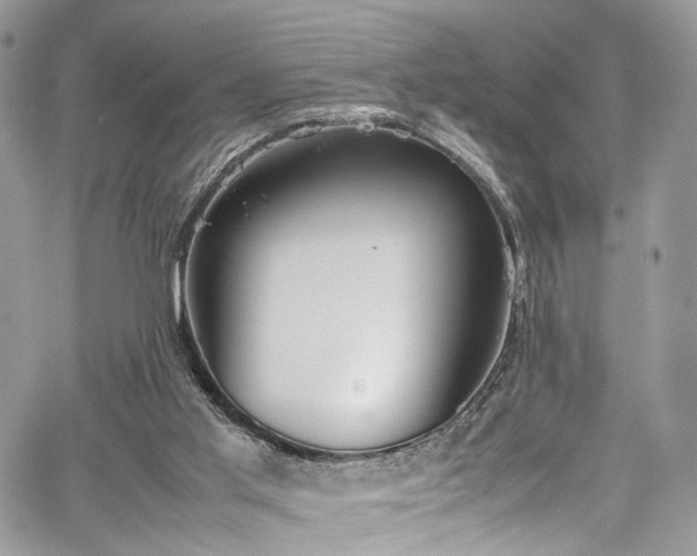 X0000067950013200604201443