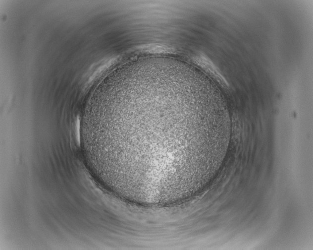 X0000067950014200604201443