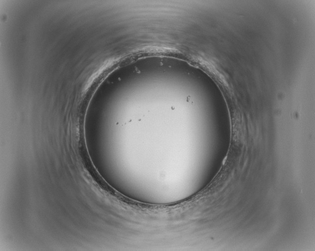 X0000067950015200604201443