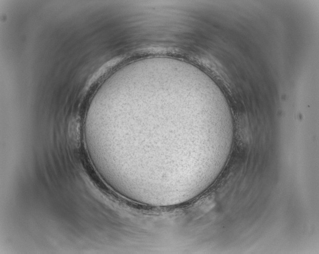 X0000067950016200604201443