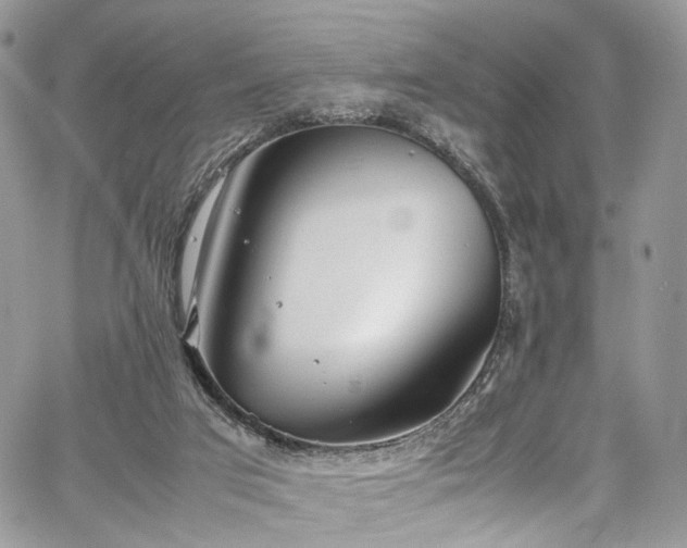 X0000067950017200604201443