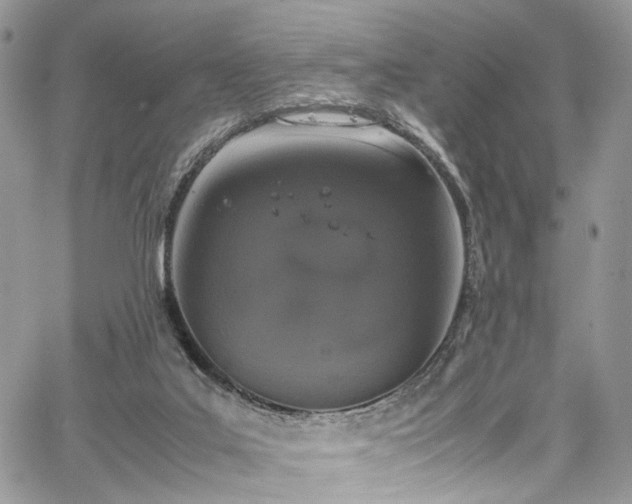 X0000067950019200604201443