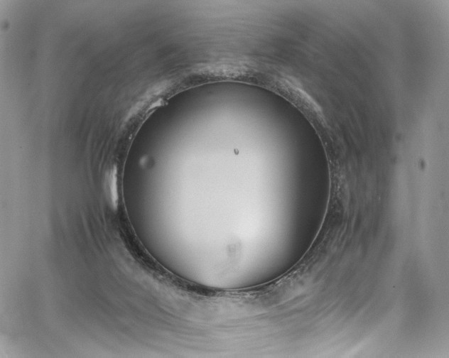 X0000067950020200604201443