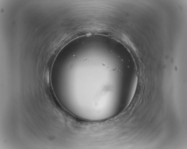 X0000067950021200604201442