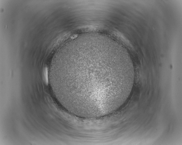 X0000067950022200604201442