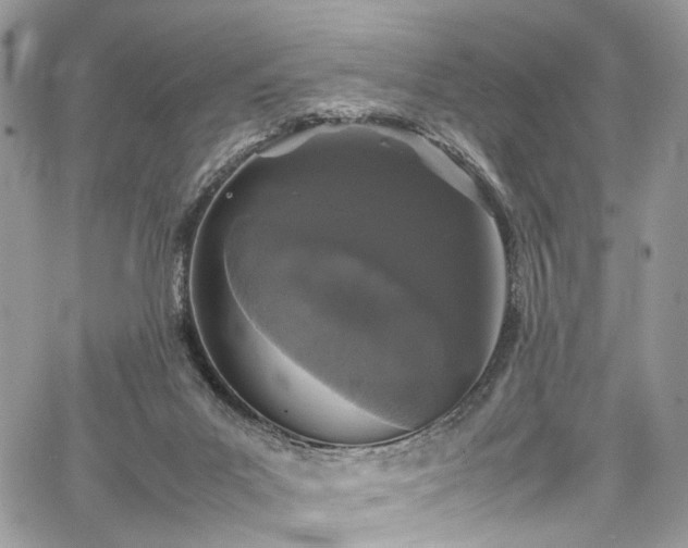 X0000067950023200604201442