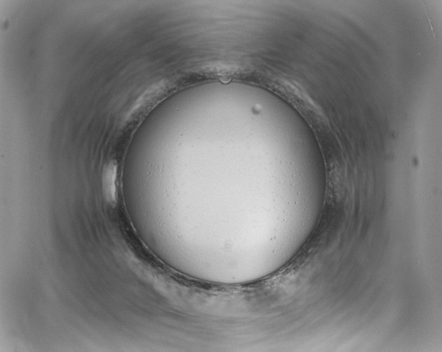 X0000067950024200604201442