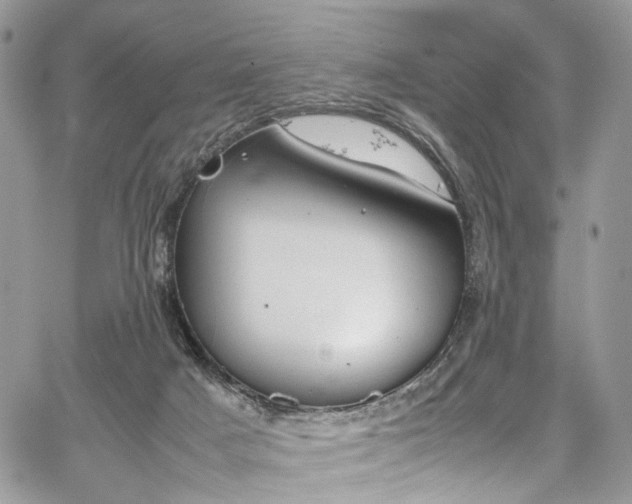 X0000067950025200604201442