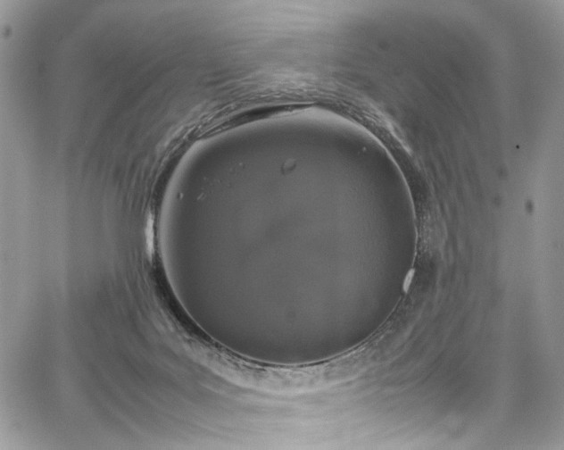 X0000067950027200604201442