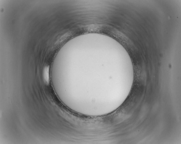 X0000067950028200604201442