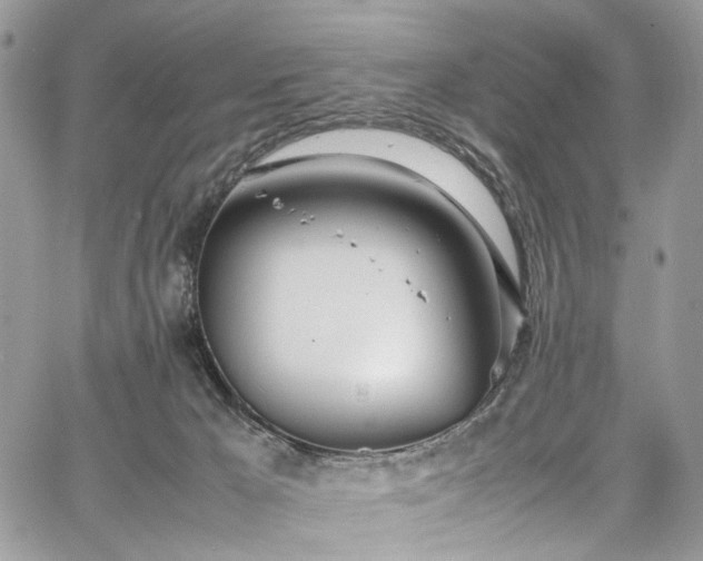 X0000067950029200604201442