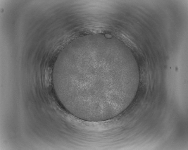 X0000067950030200604201442