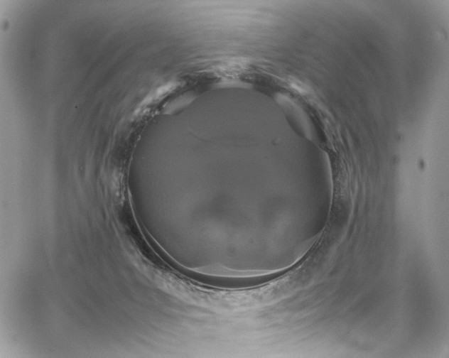 X0000067950031200604201442