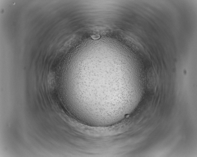 X0000067950034200604201442