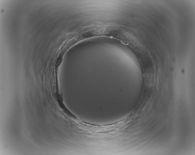 X0000067950035200604201442