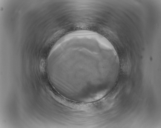 X0000067950036200604201442