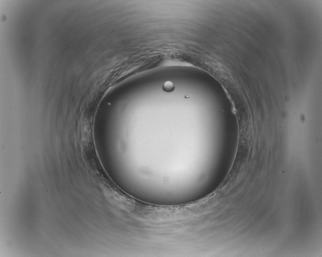 X0000067950037200604201442