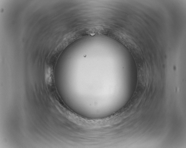 X0000067950038200604201442