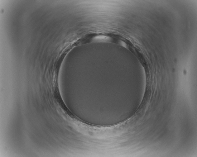 X0000067950039200604201442