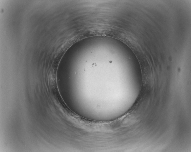 X0000067950040200604201442