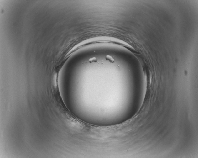 X0000067950041200604201442