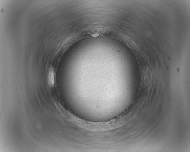 X0000067950042200604201442