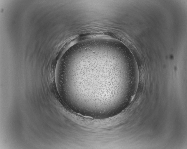 X0000067950043200604201442