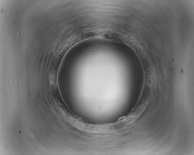 X0000067950044200604201442