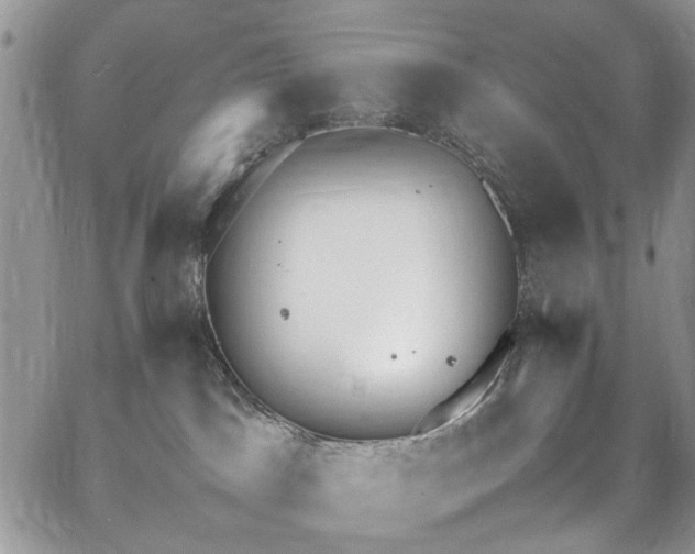 X0000067950045200604201442