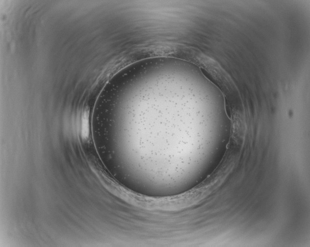 X0000067950046200604201442